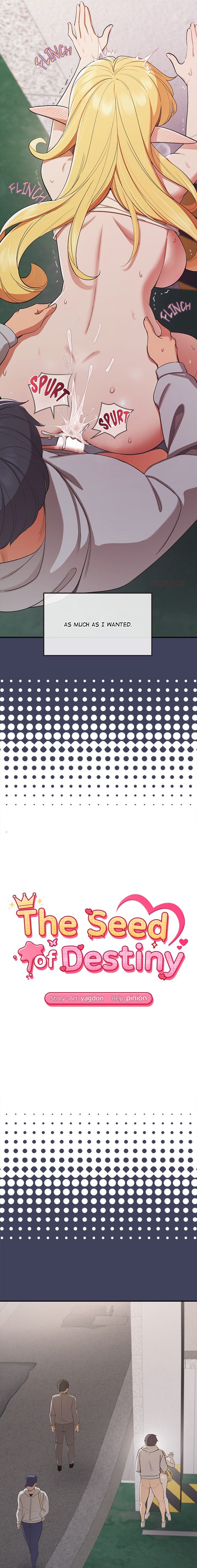 The Seed of Destiny Chapter 20 - Page 2