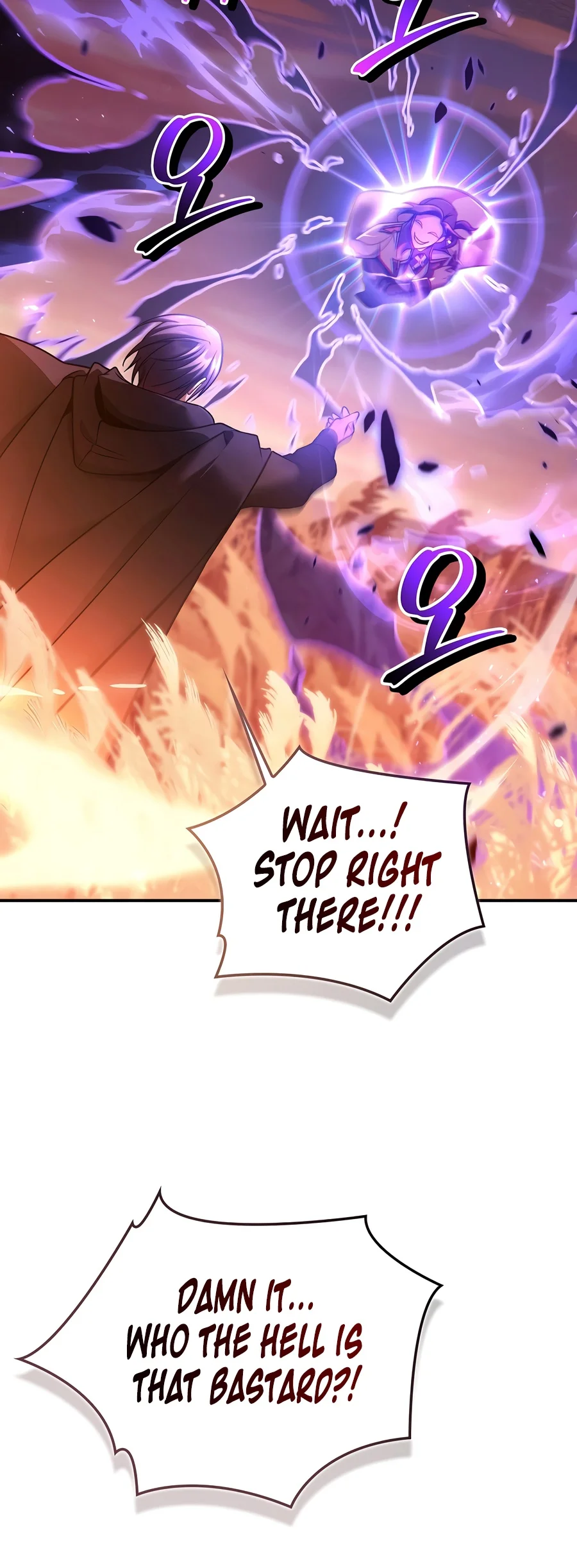 Regressor Instruction Manual Chapter 207 - Page 4