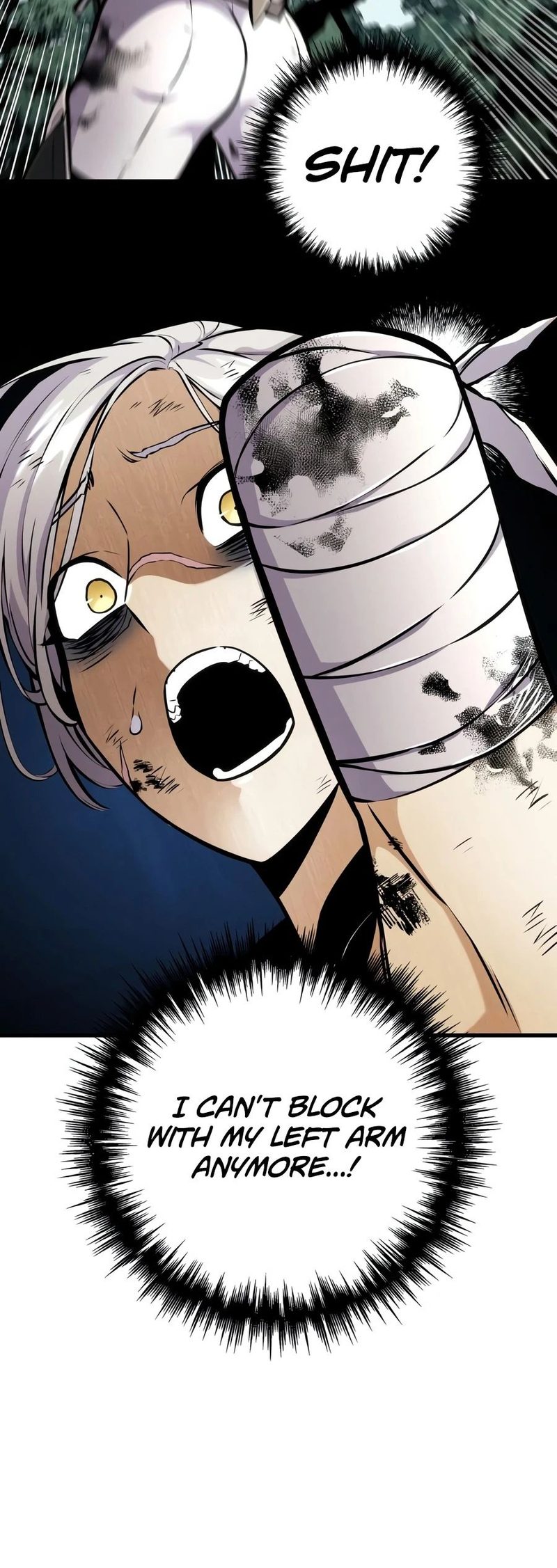 The Wandering Knight’s Survival Manual Chapter 52 - Page 14