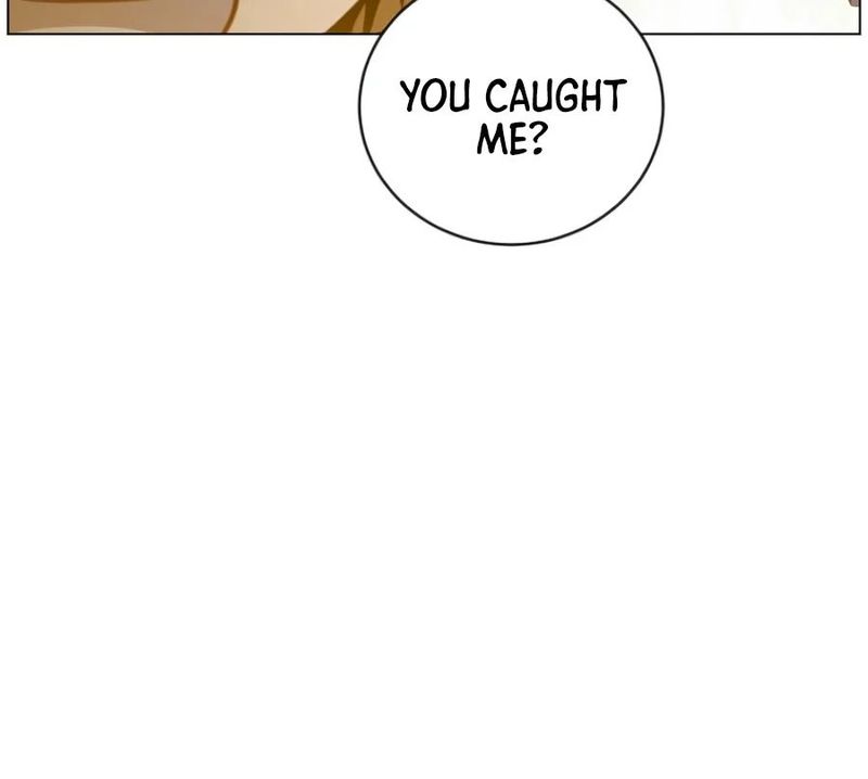 The Max Level Hero Has Returned! Chapter 245 - Page 3