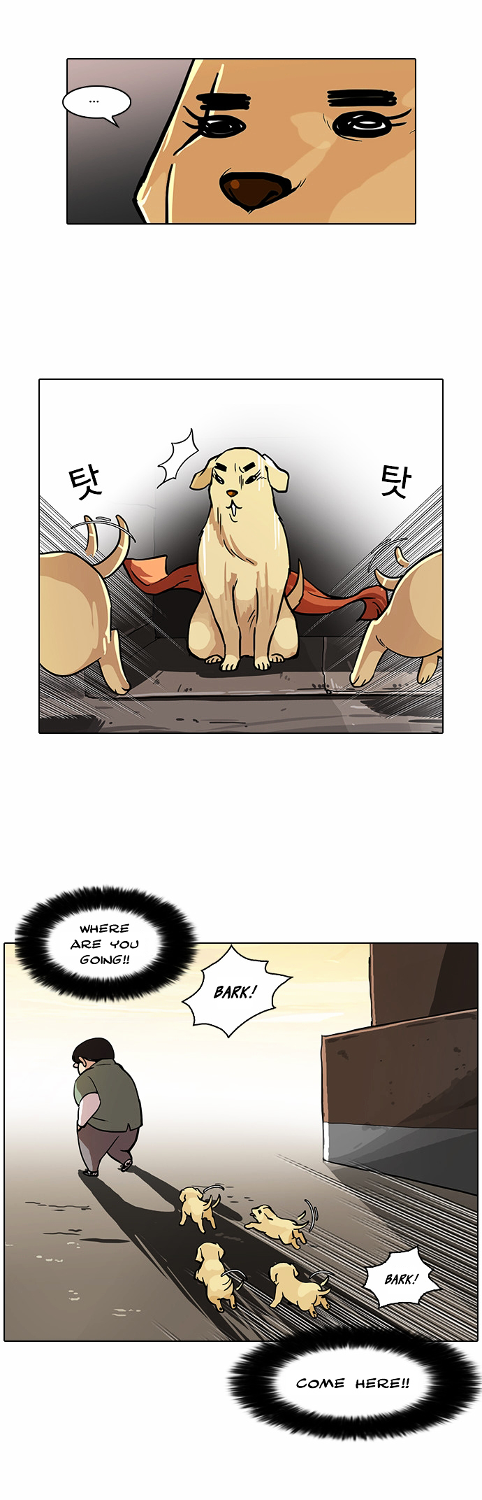Lookism Chapter 62 - Page 22